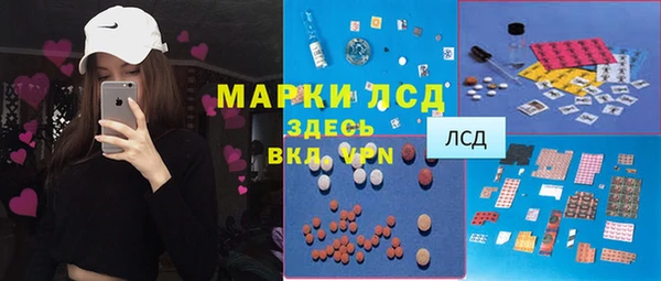 прущие грибы Абинск