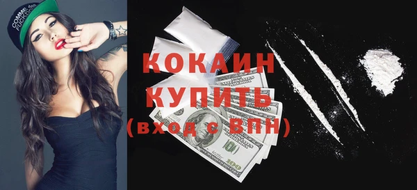 прущие грибы Абинск