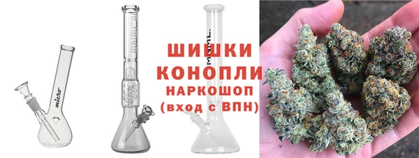 прущие грибы Абинск