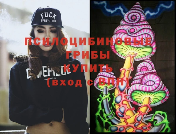 прущие грибы Абинск