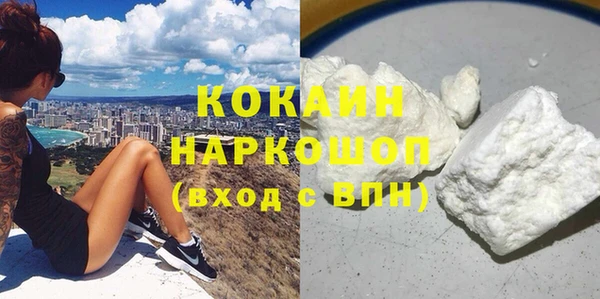 прущие грибы Абинск