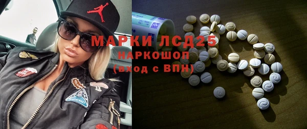 прущие грибы Абинск