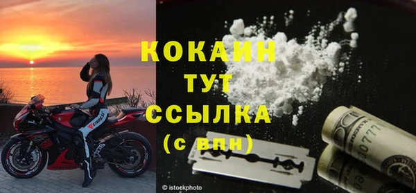прущие грибы Абинск