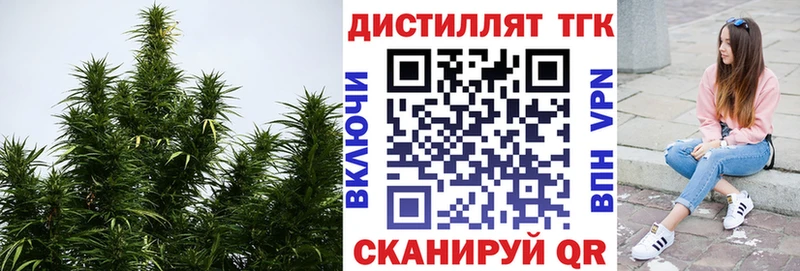 ТГК Wax  Хасавюрт 